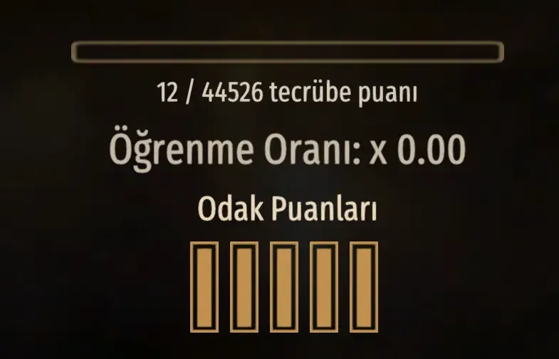 Bannerlord Seviye Puani