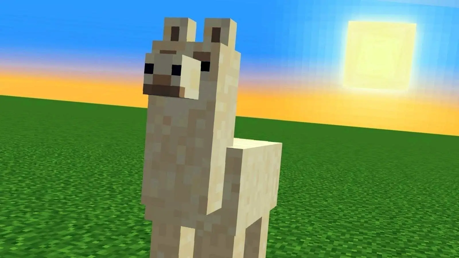 Minecraft Lama Rehberi Ne Yer Nerede Bulunur