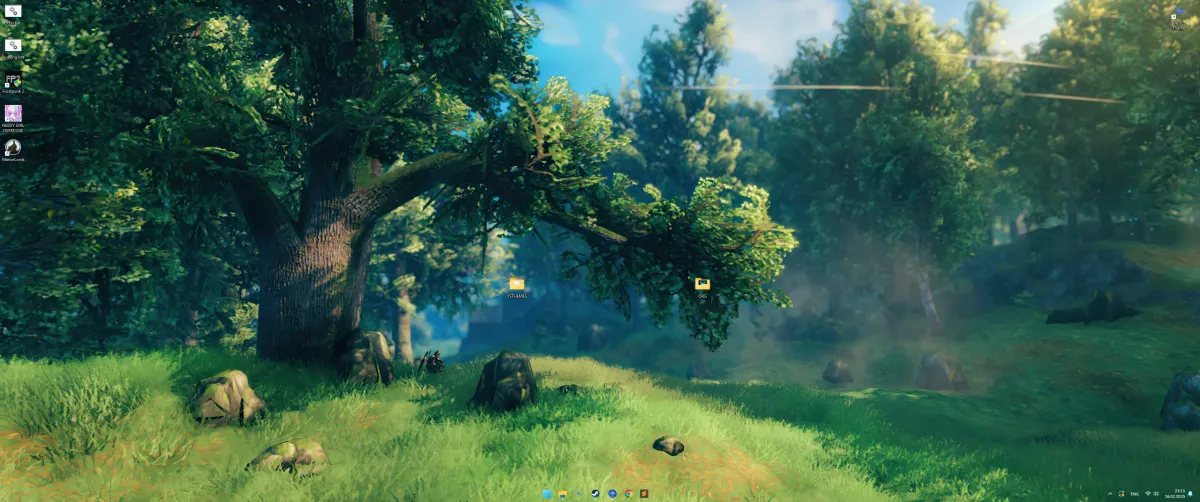 Valheim